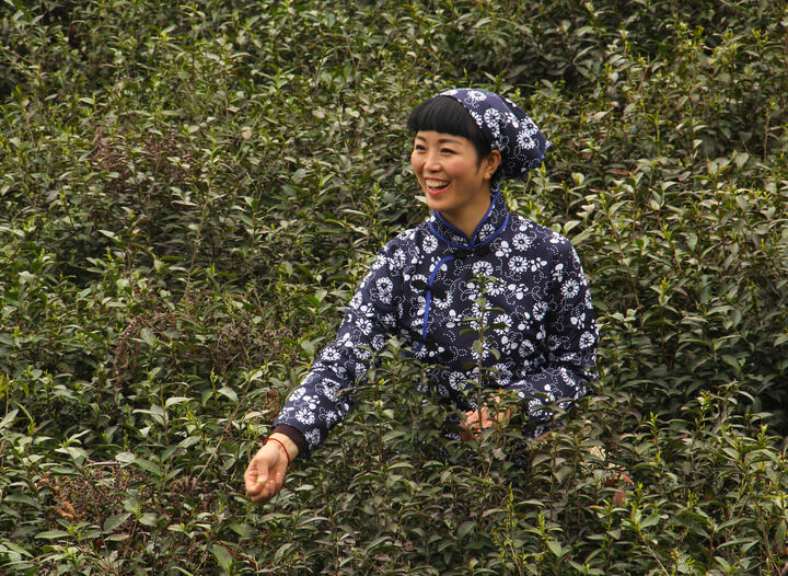 伊人app直播大全 影视